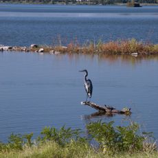 Horseshoe Lake