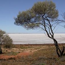 Lake Eyre basin