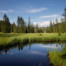 Réserve naturelle régionale de la tourbière des Saisies