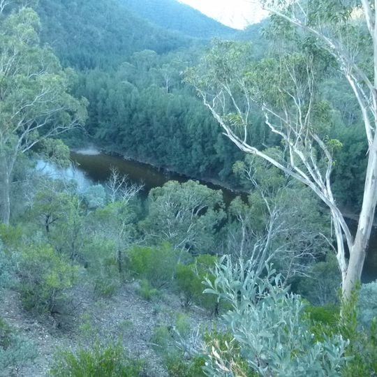 Bungonia National Park