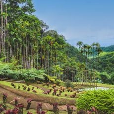 Balata Garden