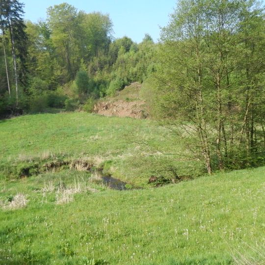 NSG Schlingenbachtal