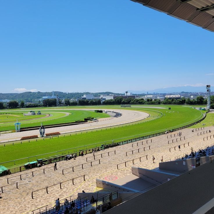 Tokyo Racecourse