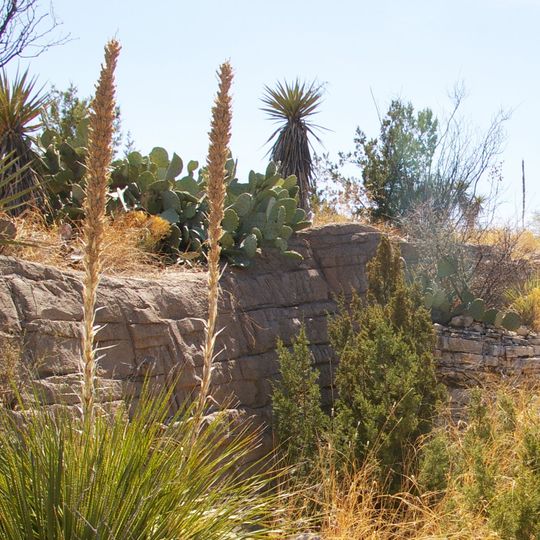 Living Desert Zoo and Gardens State Park