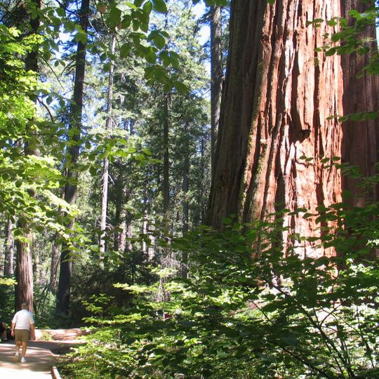 Calaveras Big Trees State Park