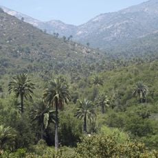 La Campana National Park
