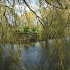 Moated site 90m north west of Moat House