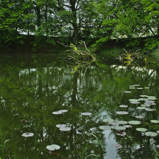 Kammmolchlebensraum bei Kochel