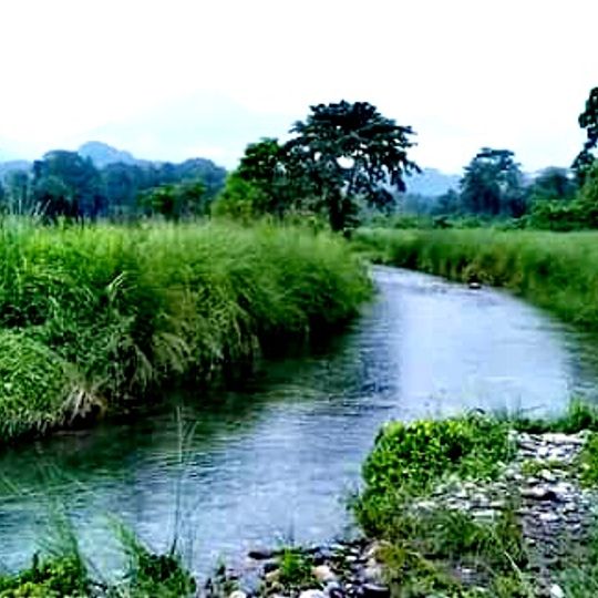 Raimona National Park