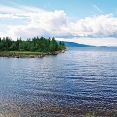 Tolvand