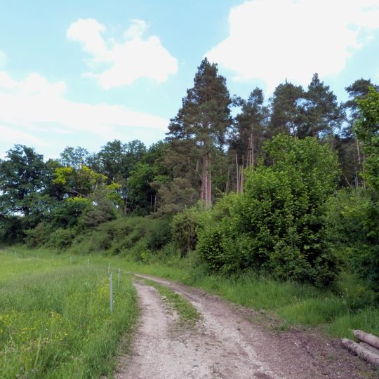 Wacholderheide am Bläslesberg