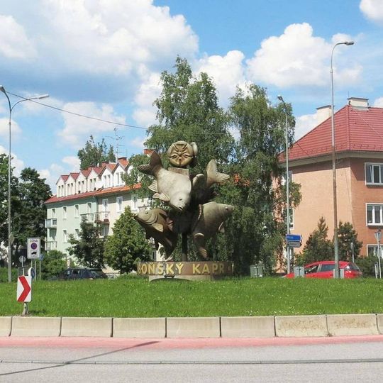 Plastika Třeboňský kapr