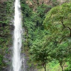 Wli waterfalls
