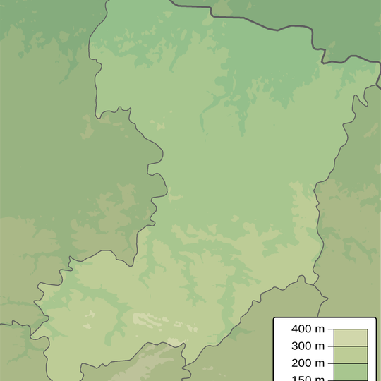 Вікові дерева сосни