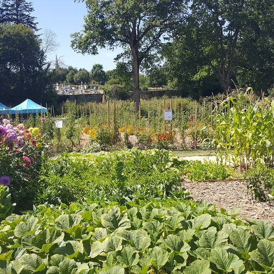 Potager extraordinaire