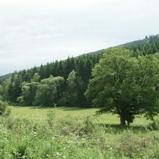 Naturschutzgebiet Oberlauf des Linspherbaches