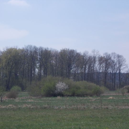 Sulzwiesen-Lüssenschöpfle