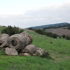 Foresta fossile di Carrucana