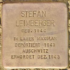 Stefan Leimberger
