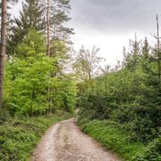 Östlicher Teutoburger Wald (LP Bielefeld-Senne)