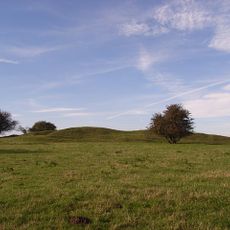Long barrow 700m south of Tidcombe
