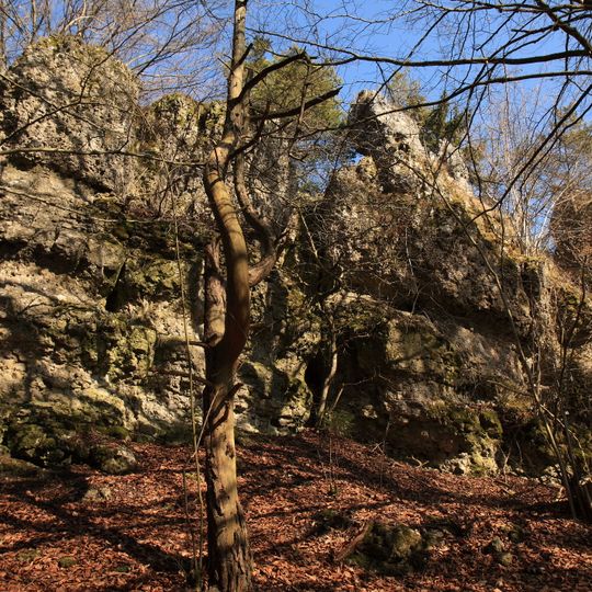 Burgstall Alte Bürg bei Eschenfelden