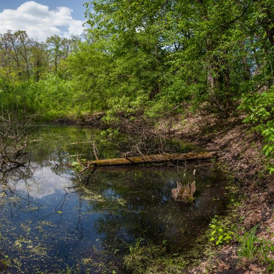 Synychynskyi Reserve