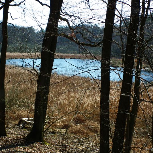 Nature reserve Jezioro Drążynek