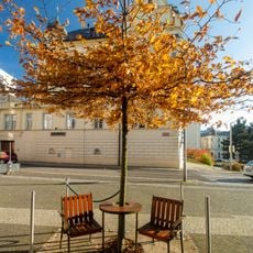 Lavička Václava Havla