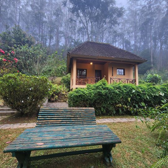 Vakona Forest Lodge
