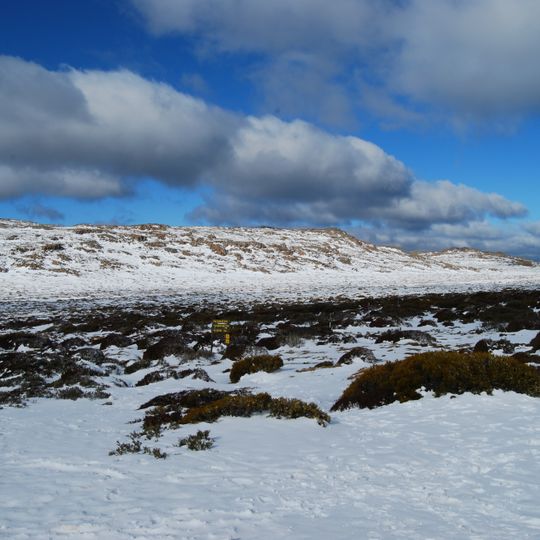 Ben Lomond National Park