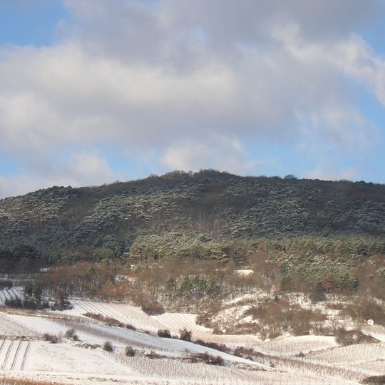 Pfaffstättner Kogel