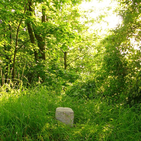 VIII. Burgfriedensstein