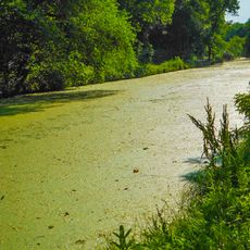 Gebhard Woods State Park
