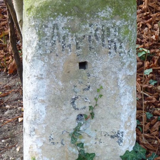 Milestone, Dunsbridge Turnpike, Frog End