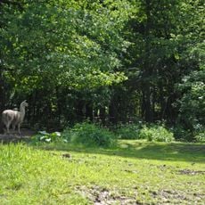 Sosonky Protected Tract