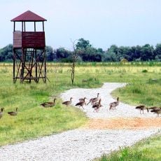Parque nacional Fertő-Hanság