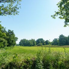 Orchid meadow south of Belgern