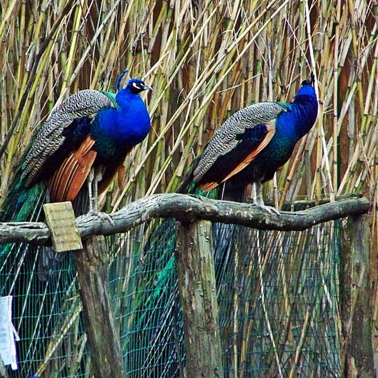 Centro di scienze naturali