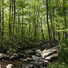 Ramapo Mountain State Forest