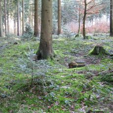 Kleinkastell Ebnisee