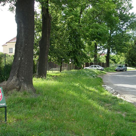 Ash avenue in Chodov