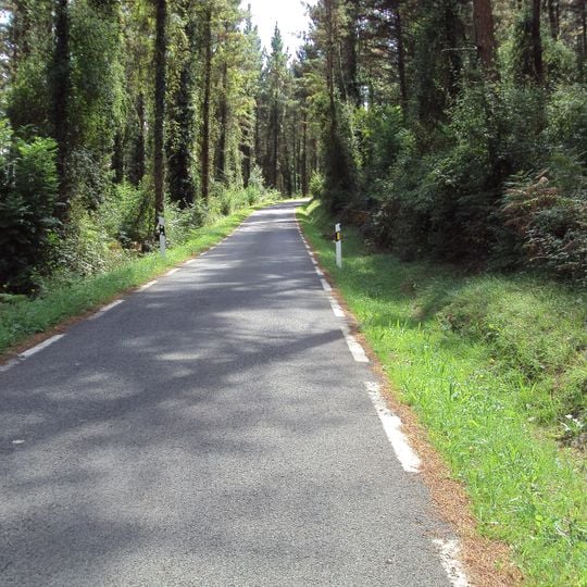 Landotz – Pepiena bidea