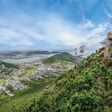 Rainforest Adventures-Flying Dutchman