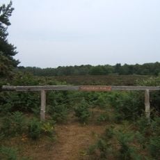 North Warren RSPB reserve