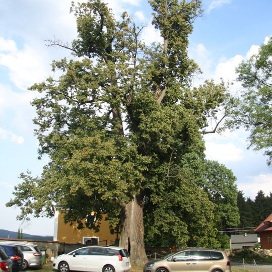 Lípa sv. Vojtěcha