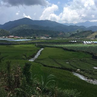 Terrace rice fields shin chai
