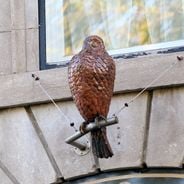 Fotolokacje w mieście Dijon