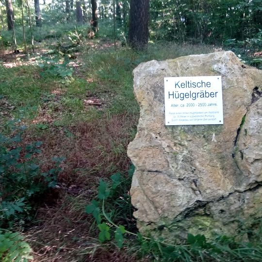 Grabhügelgruppe Dienstadt