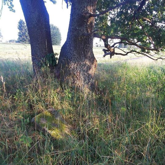 Kříž mezi zaniklou Švarcavou a zaniklou Dianou